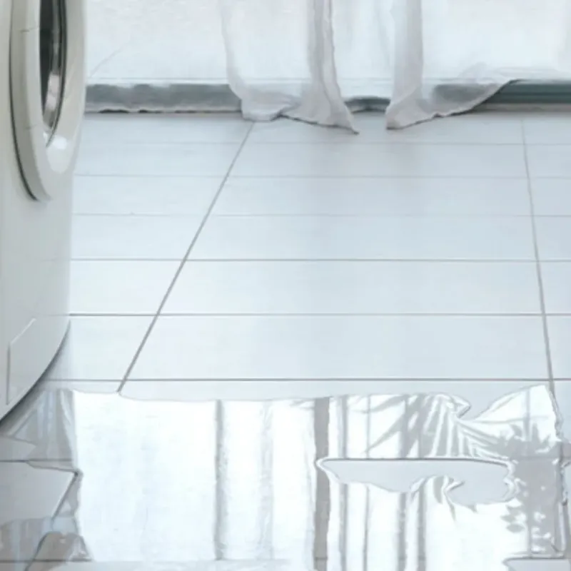 Appliance Leak Cleanup in Clemson, SC
