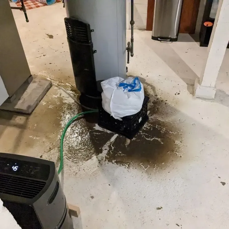 Sewage Backup Cleanup Service in Clemson, SC